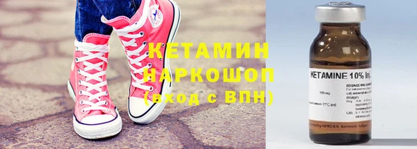 прущие грибы Бородино