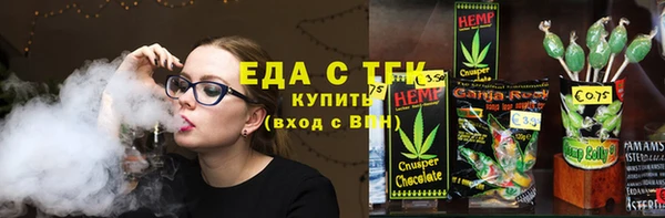 прущие грибы Бородино