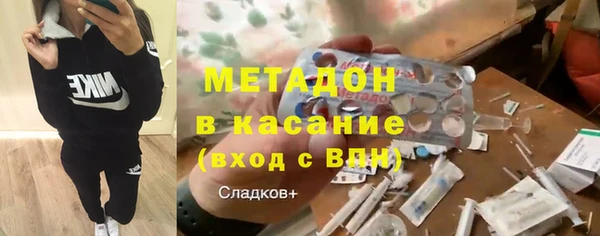 прущие грибы Бородино