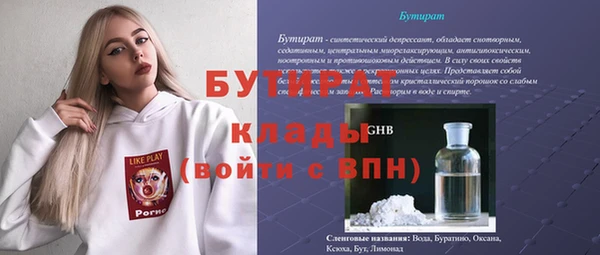 прущие грибы Бородино