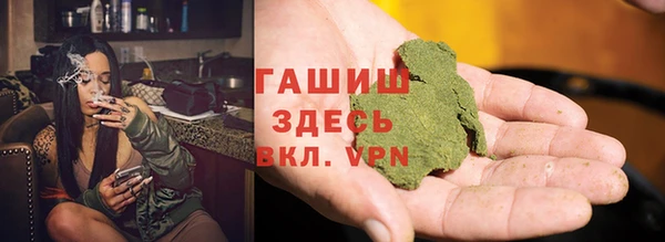 прущие грибы Бородино