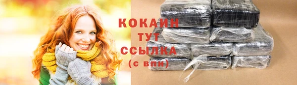 прущие грибы Бородино