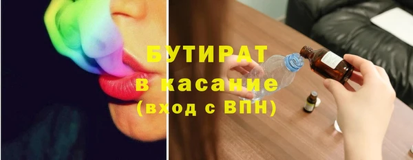 прущие грибы Бородино