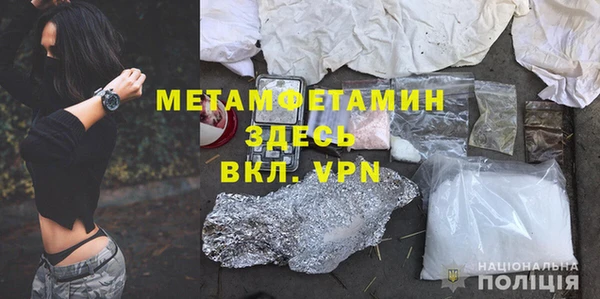 прущие грибы Бородино