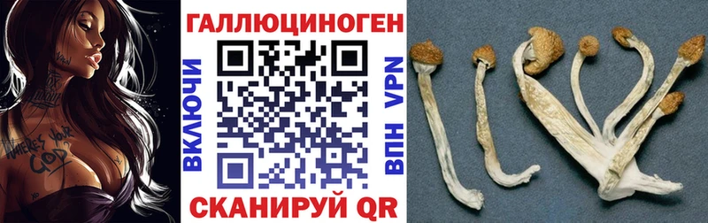 Псилоцибиновые грибы GOLDEN TEACHER  Наволоки 